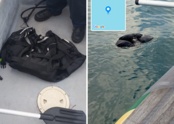 Bombeiros confirmam que colete salva-vidas encontrado boiando no mar é de homem que desapareceu em Ilhabela, SP