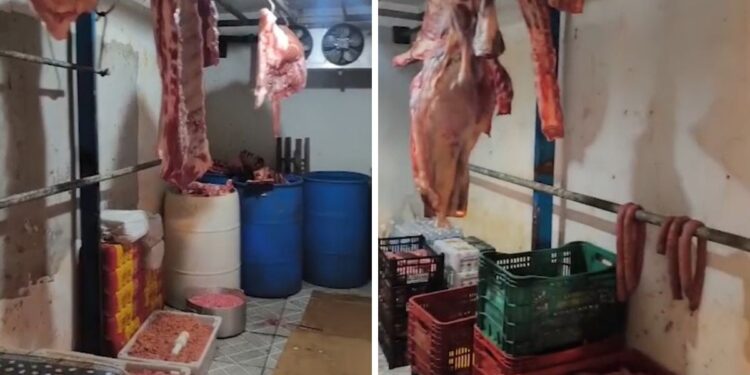 Polícia fecha matadouro clandestino e apreende mais de 700 quilos de carne em Jacareí